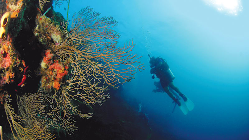 Roatan, Honduras